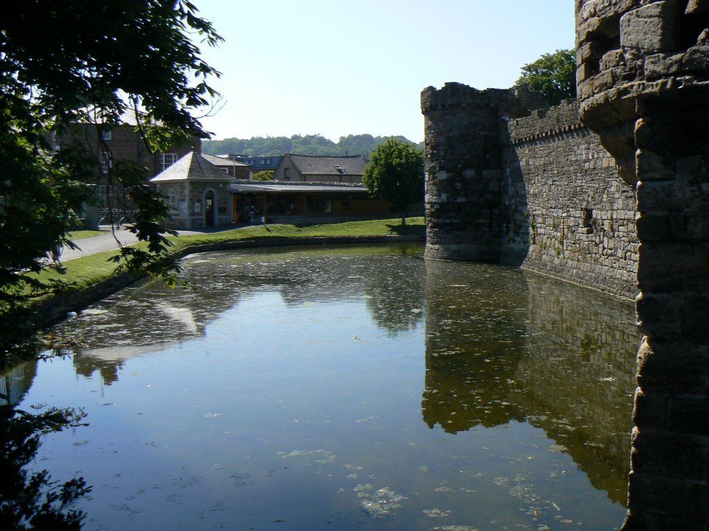 Beaumaris Castle by tafftravels