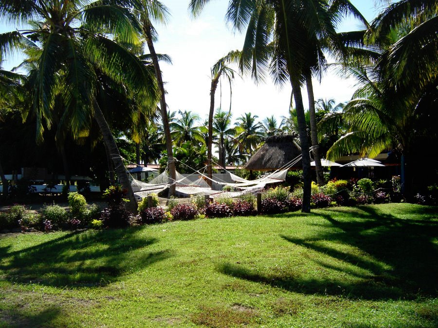 Fiji Hammocks by jek56