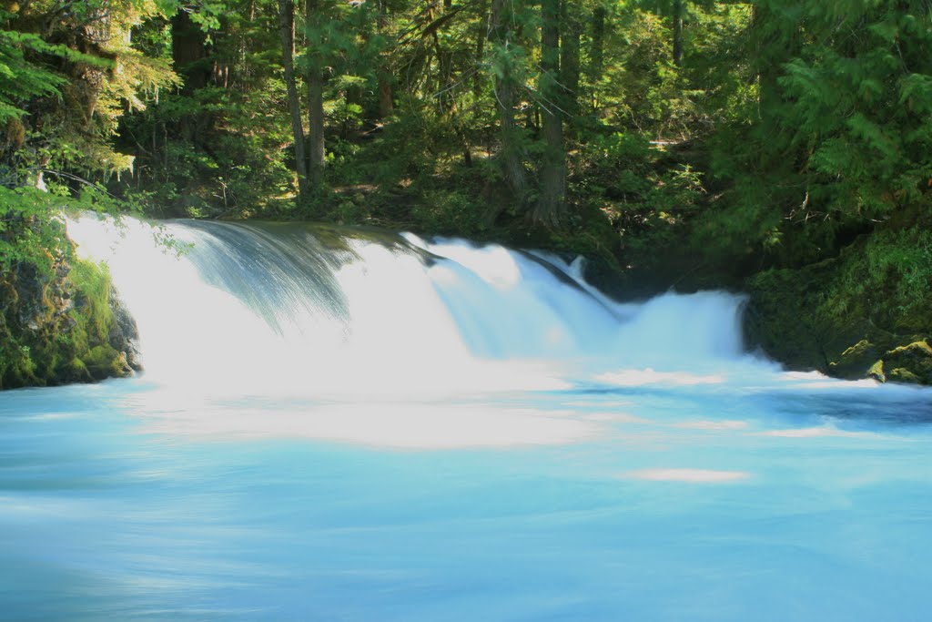 McKenzie River by Horner69