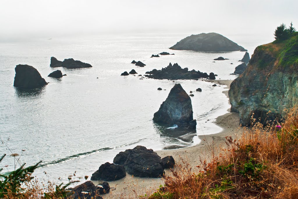 Oregon Coast DSC_2867b - 789 by Larry Butcher