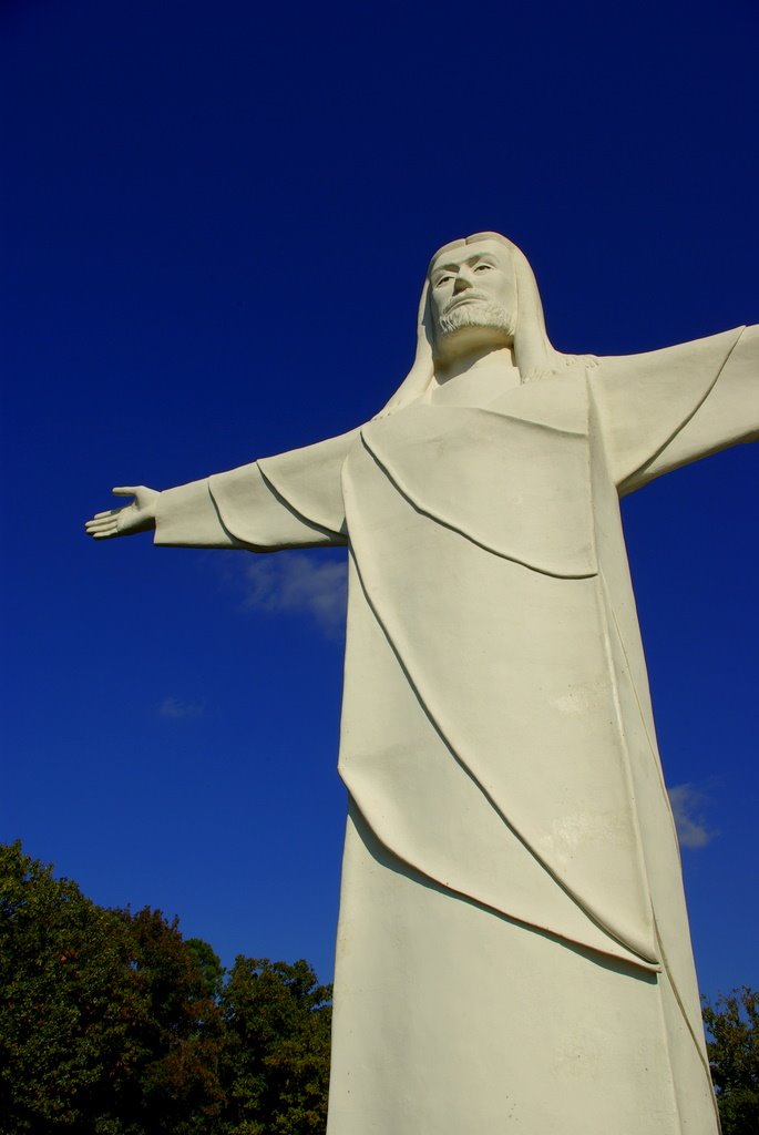 Christ of the Ozarks by Tony E. Walker