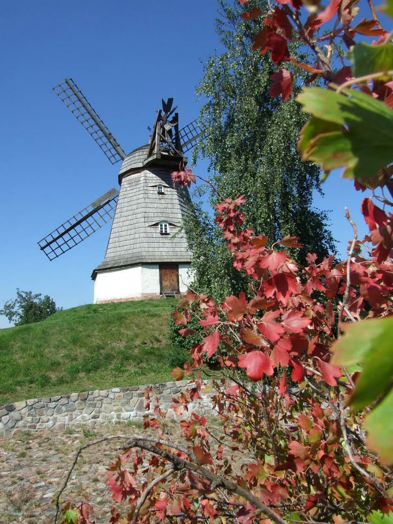 Jerichow, Holländerwindmühle by minka1991