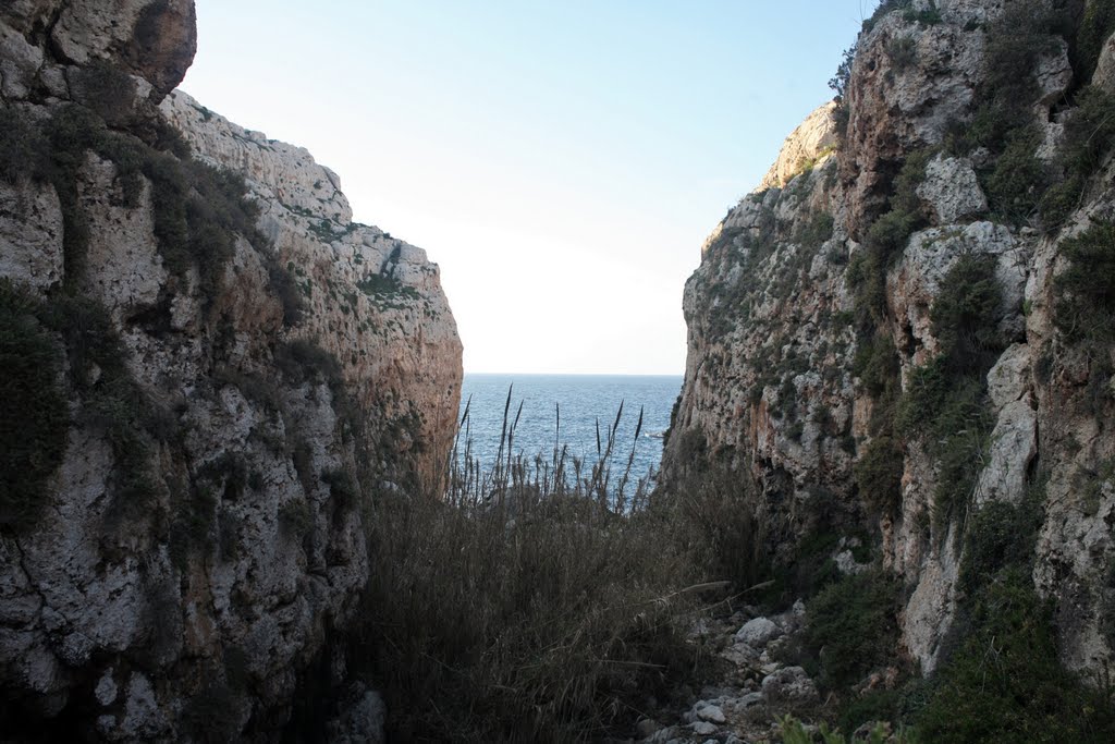 Malta gorge by longdistancer