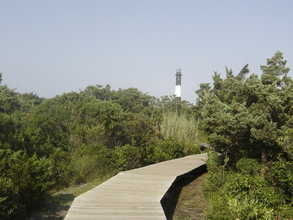 Landscape on Fire Island by chris1073