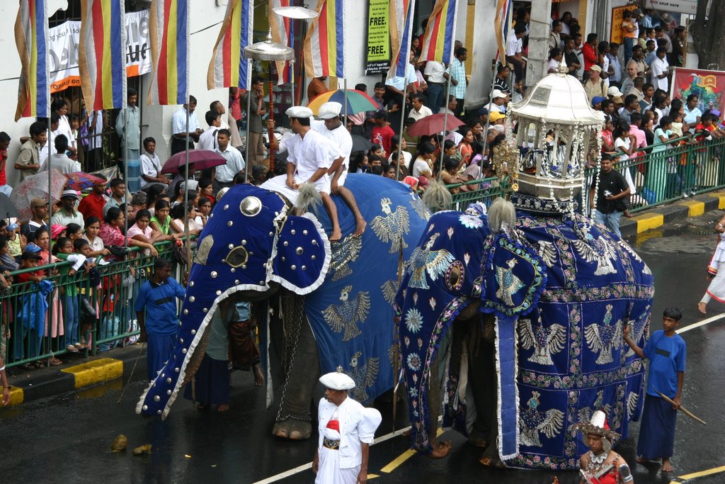 Esala Perahera, Kandy, Sri Lanka by unclechris