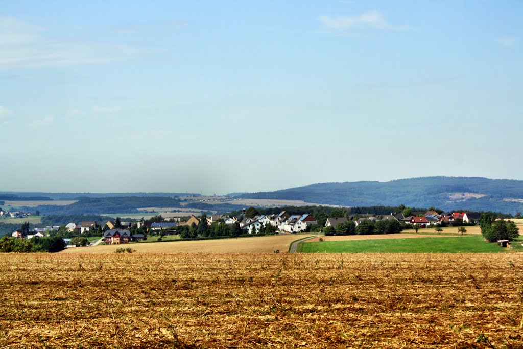 Blick auf Biebrich by oller rainer