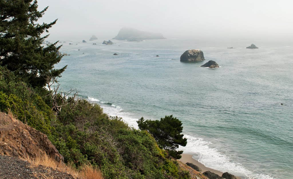 Oregon Coast DSC_2868 - 790 by Larry Butcher