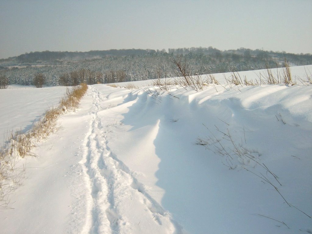 Neige à Bougainville (rare) by Ragot Daniel