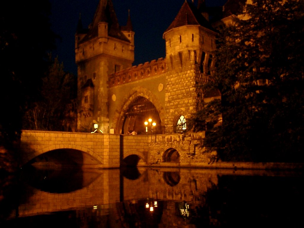 Castillo de Budapest,rami by franrami