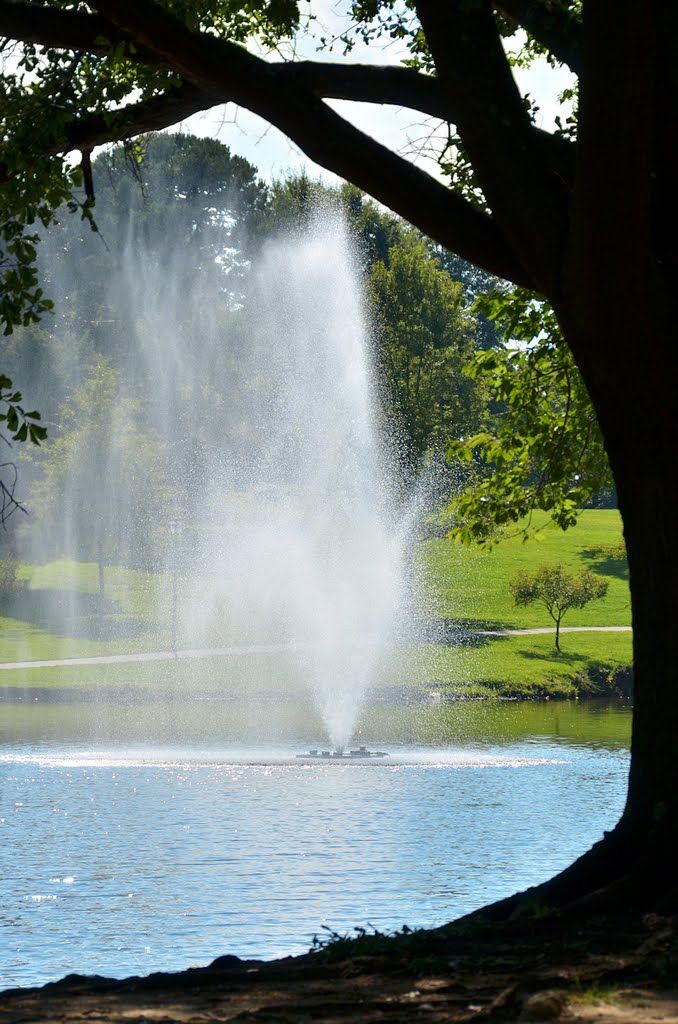 Fountain by Kevin Childress