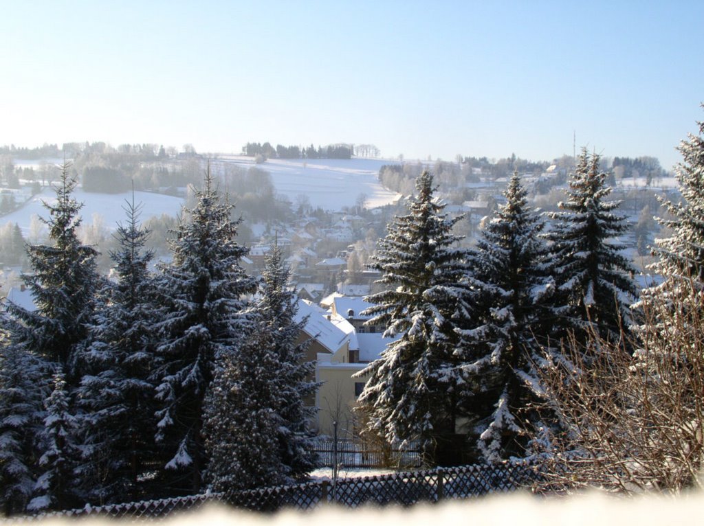 Blick aus Villa - Schuster Richtung Bismarcksäule by Veit