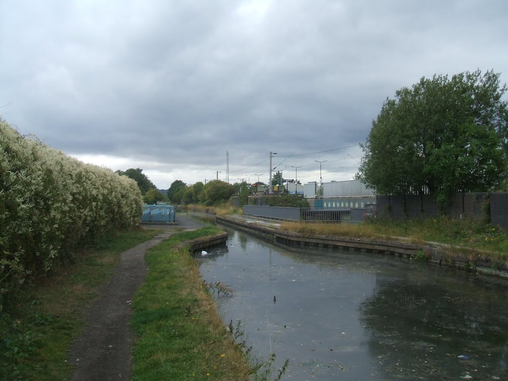 Ryland Aqueduct from towpath 2 by bcfczuluarmy