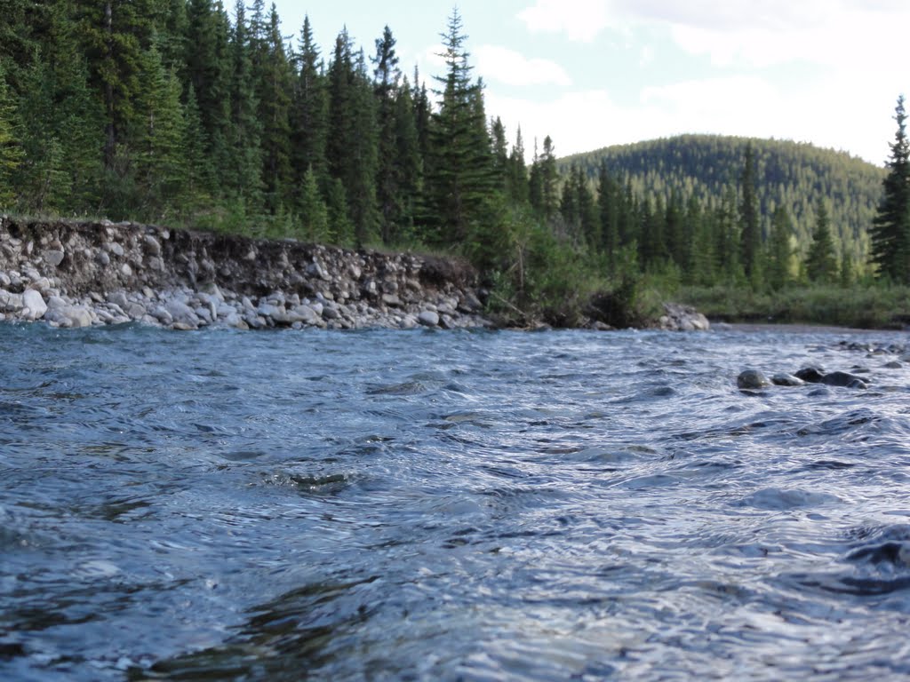 Down stream Elbow river ...!? by Tony Sterl