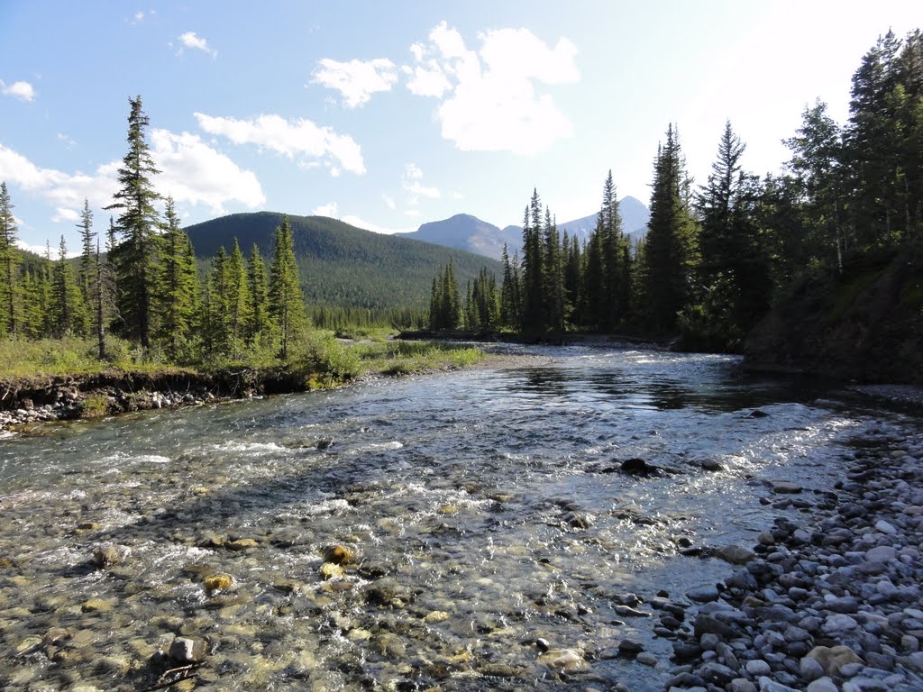 Beautiful Elbow river in Summer 2011. by Tony Sterl