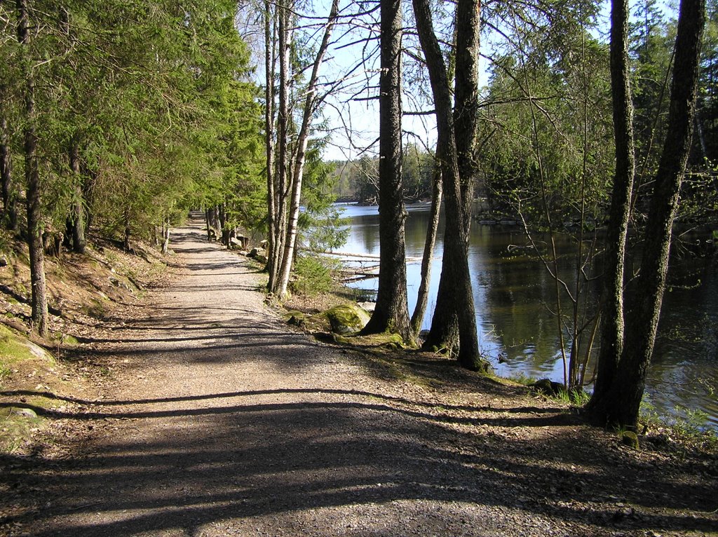 The bicycle path along Lillsjön by mrbsphotos