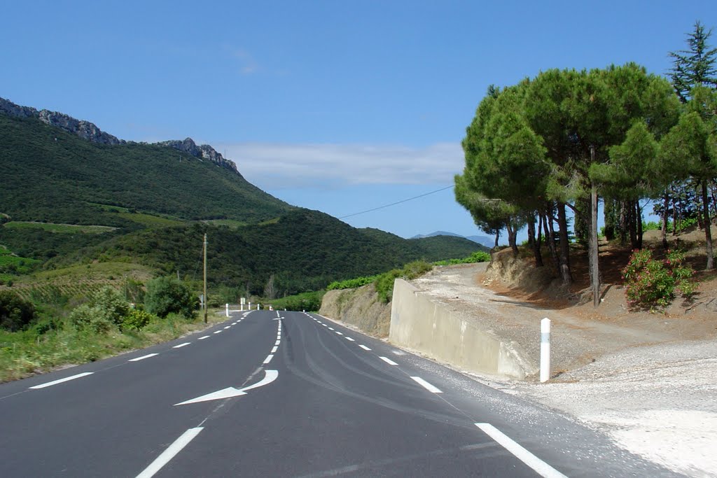 Frankreich_Languedoc-Roussillon_Saint-Paul-de-Fenouillet, D117 by © ELMOKULA