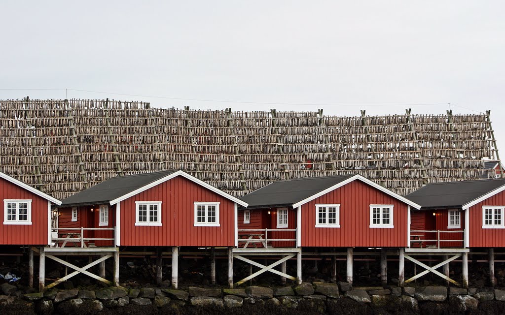 Trockenfisch, der Exportschlager der Lofoten by goterei