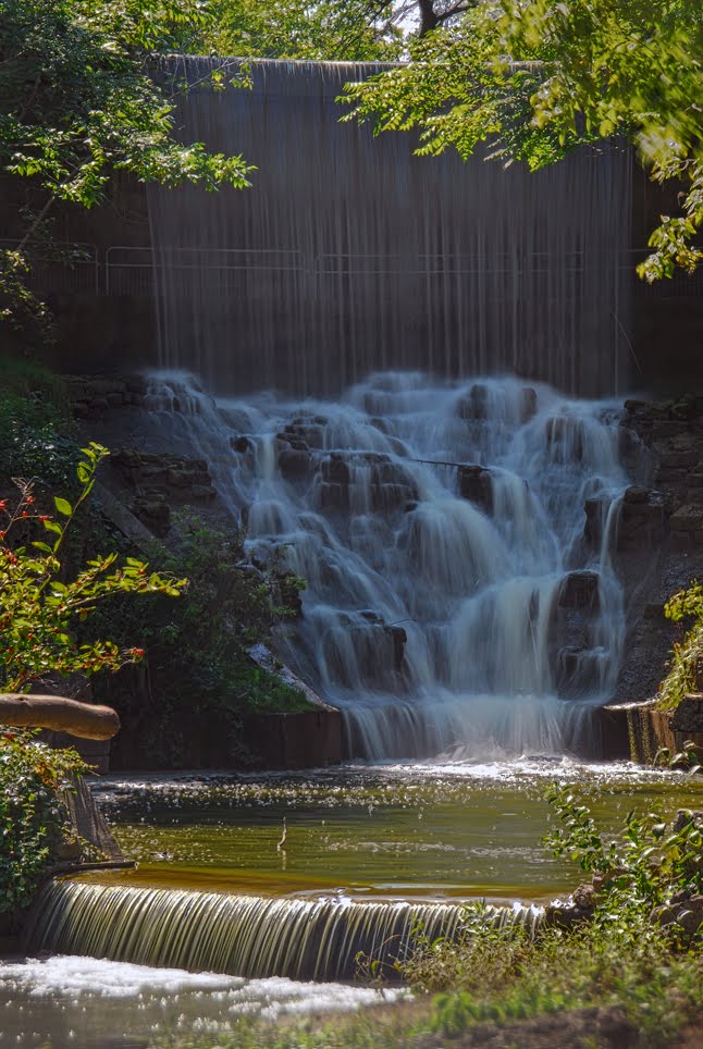 Waterfall at Toronto Zoo's Mayan Temple Ruin by Indonesia Jones