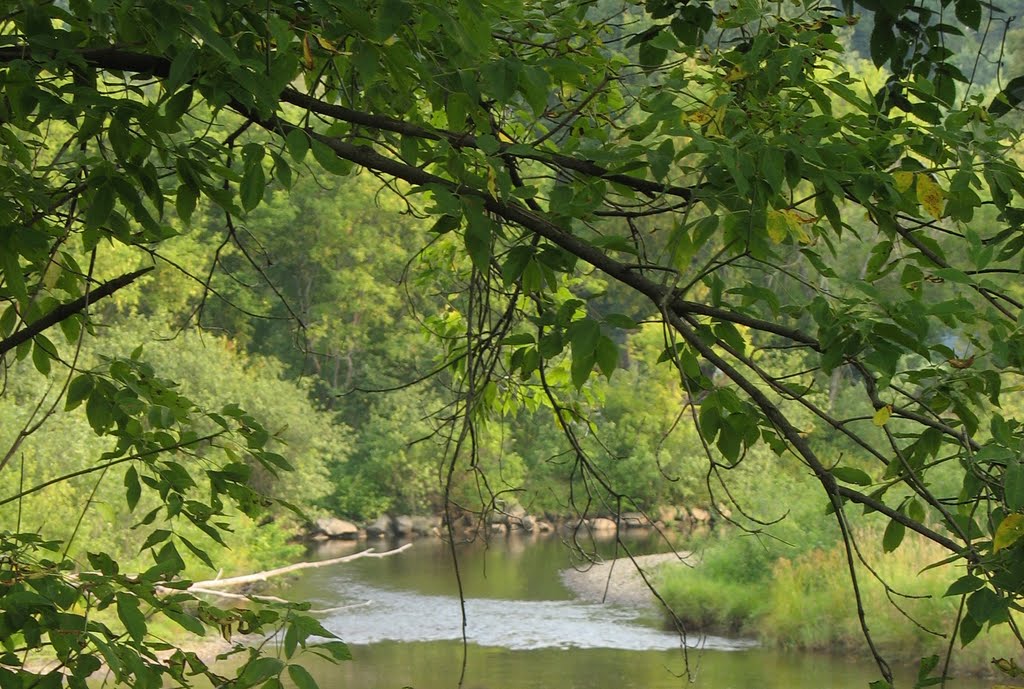 Mascoma river, Summer by Zajj