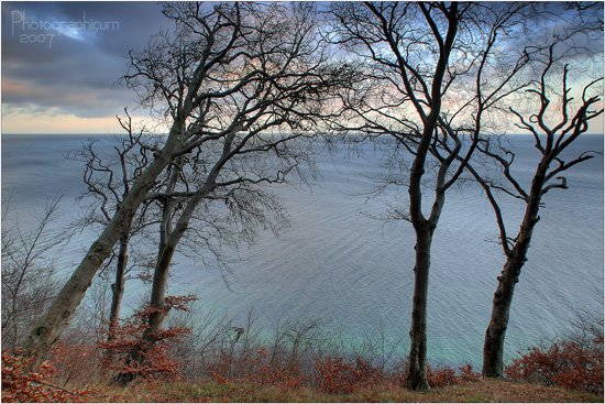 Hochweg - Jasmund / Rügen by patzlaff