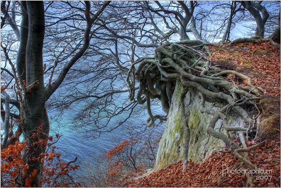 Hochweg - Jasmund / Rügen by patzlaff