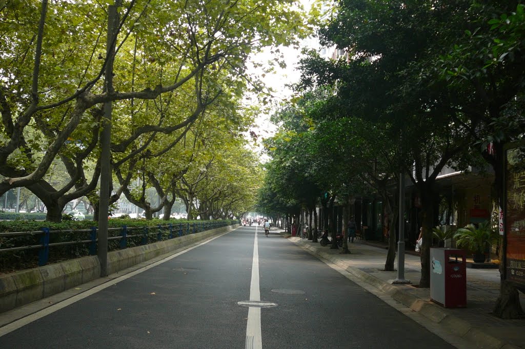 Chengdu Renming Road(N) by 小西 天