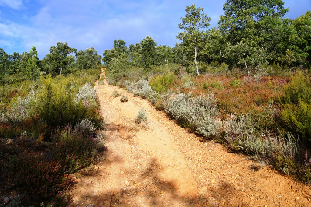 Por el alcornocal de Cabañas Raras. by Hikergoer