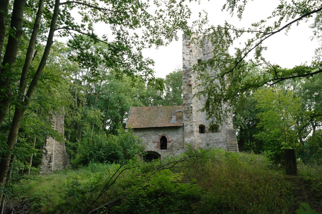 Burgruine Boyneburg by Krusobi