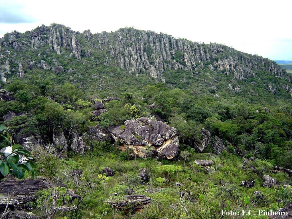 Morro cabeludo - Serra dos Pireneus by Fernando da Costa Pinheiro