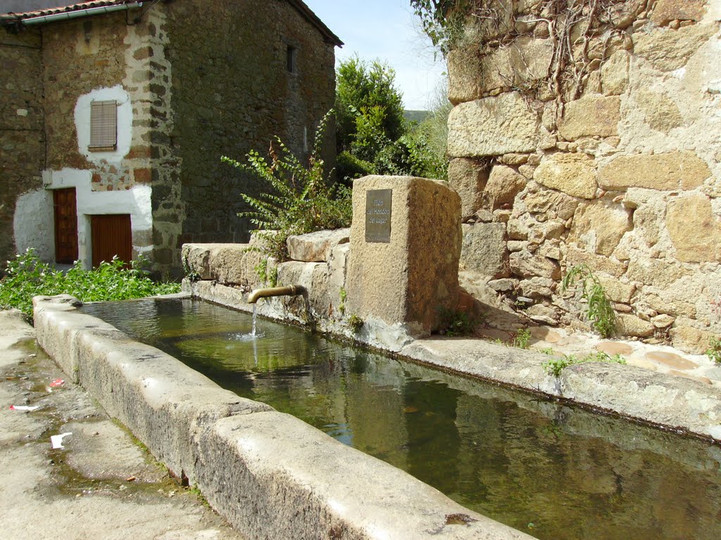 Pilón del hondón del lugar, Hoyos. by o rey do café