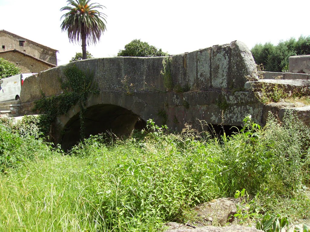 Puente entrando en Hoyos. by o rey do café