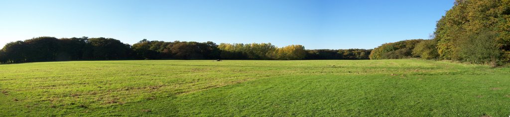 Auberg Panorama by Hasi