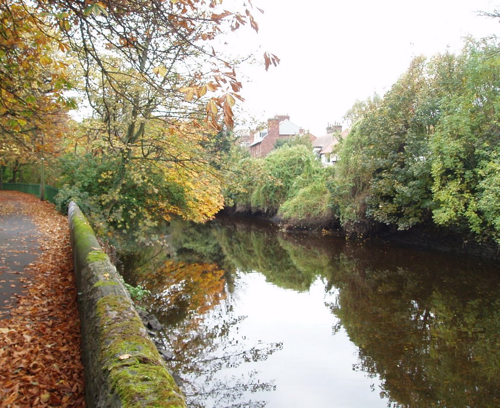 The river Dodder, Ballsbridge by craigm