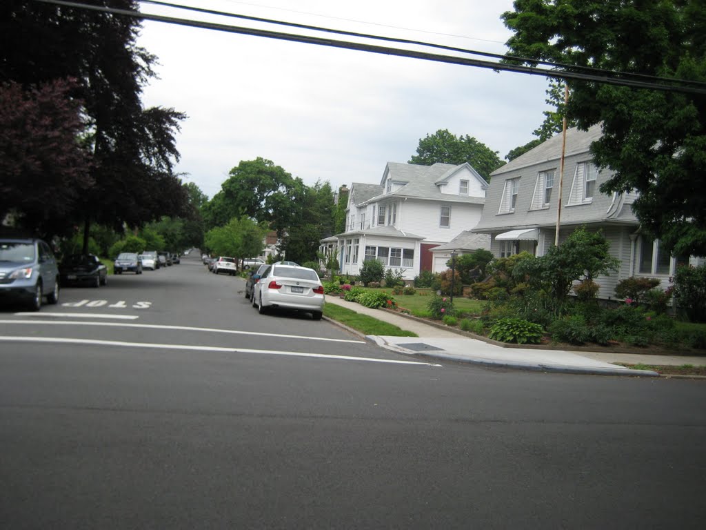 Robinson St., Flushing by R. D. Patel