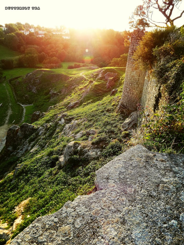 Vue sur les ruines et rochers by Butterfly_Tea81