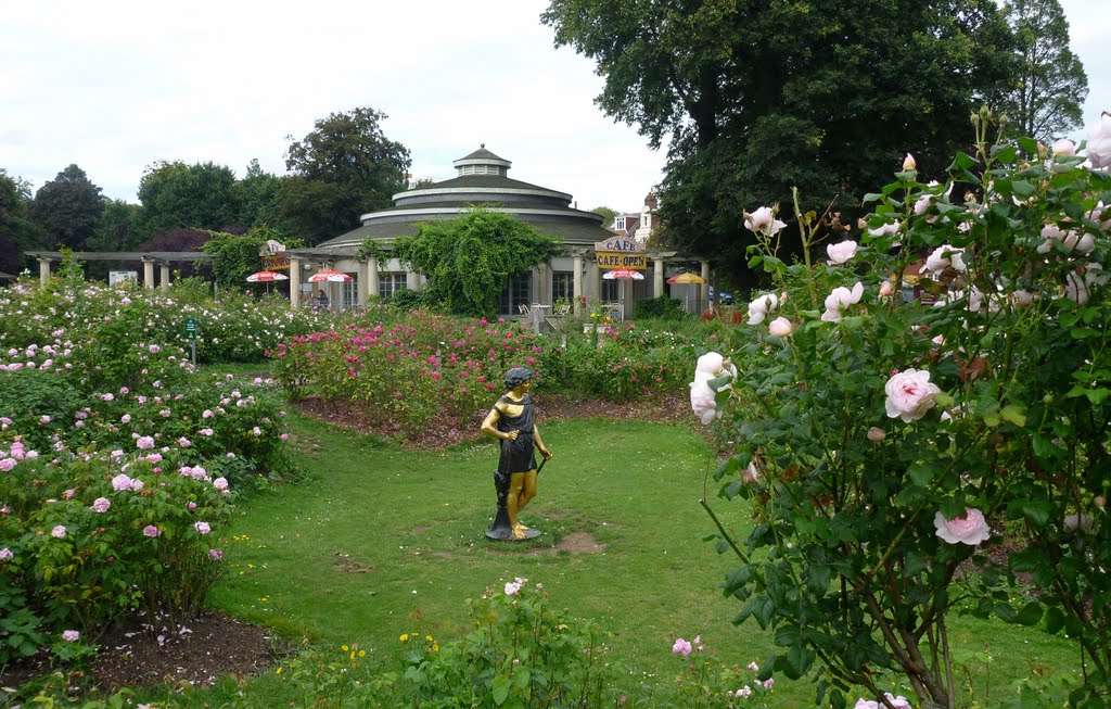 PRESTON PARK ROSE GARDEN by Alan McFaden