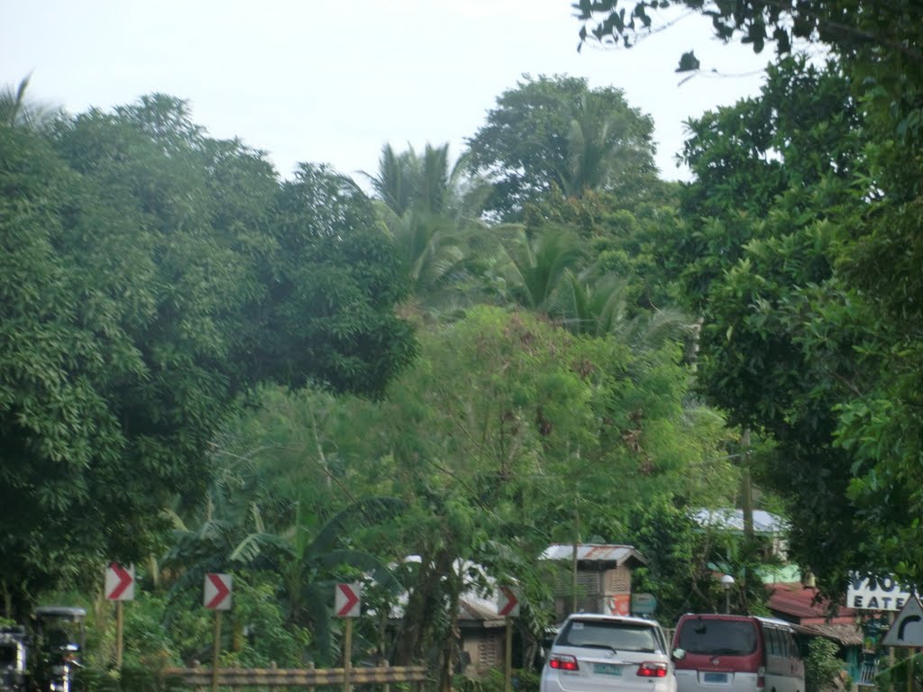 Calauag to Bicol by Adolfo Acosta Pedregosa