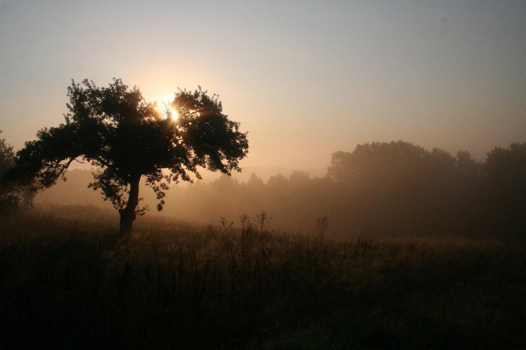 Sonnenaufgang by George Ganster