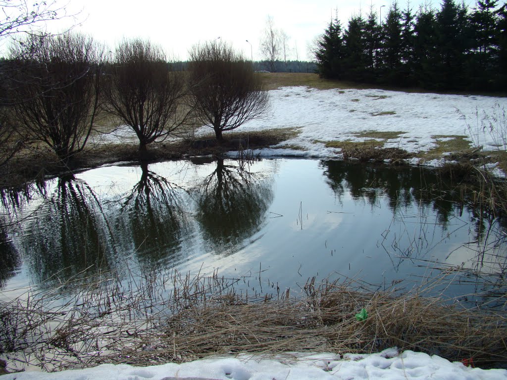 Pond in Puotila by PlamenB