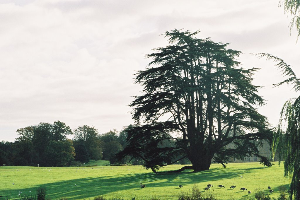 Leeds Castle by Pierre Genest