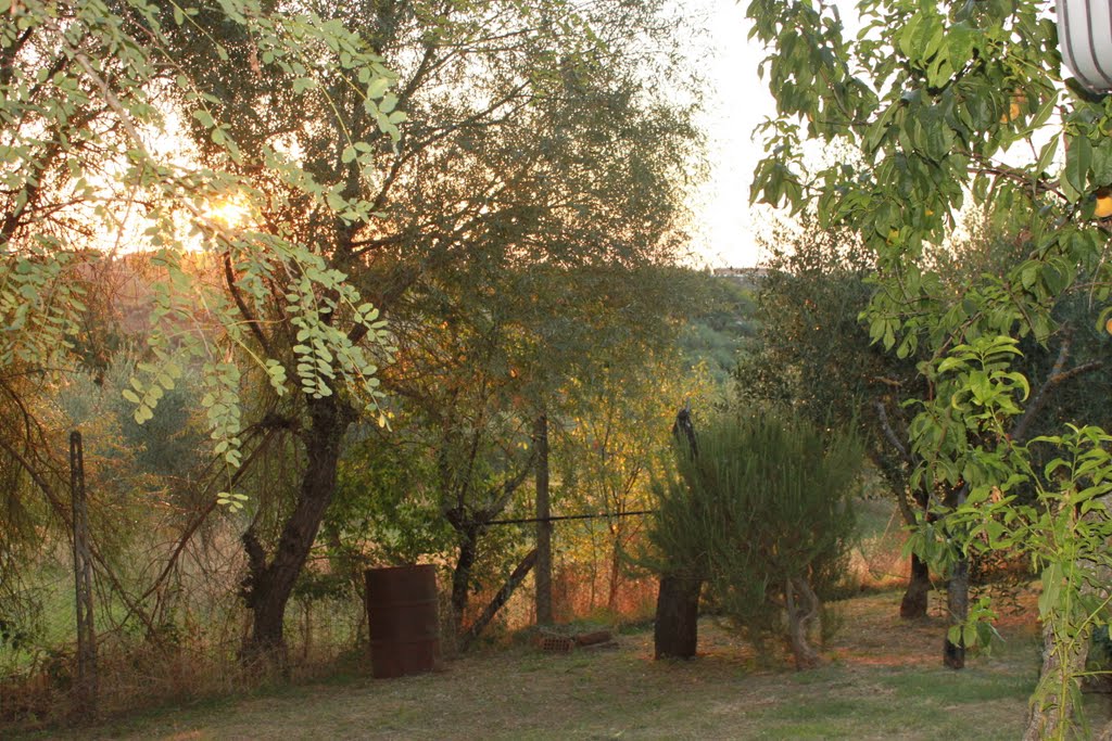 View From A Garden In Gioiella by Ashley Napier