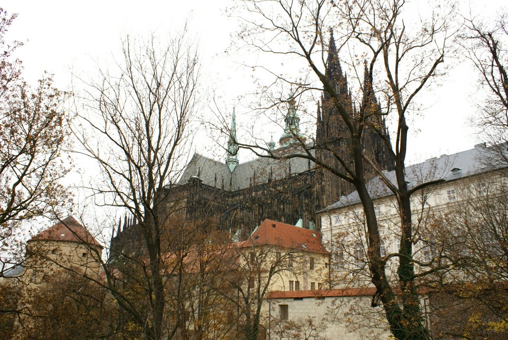 Prague Castle and St. Vitus's Cathedral by Emre Zaim