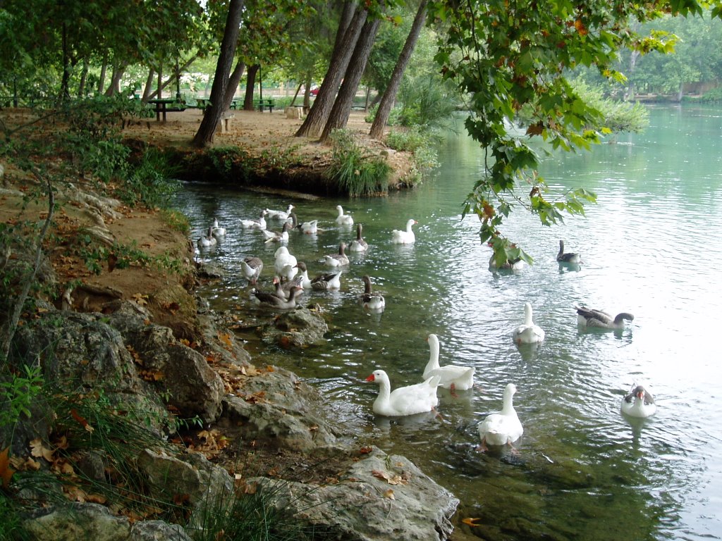 Lago de Anna by Alberto Asensio