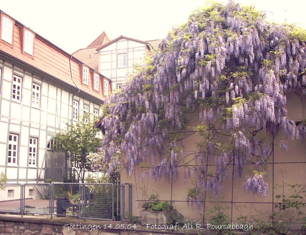 Innenstadt, Göttingen, Germany by Ali R. Poursabbagh