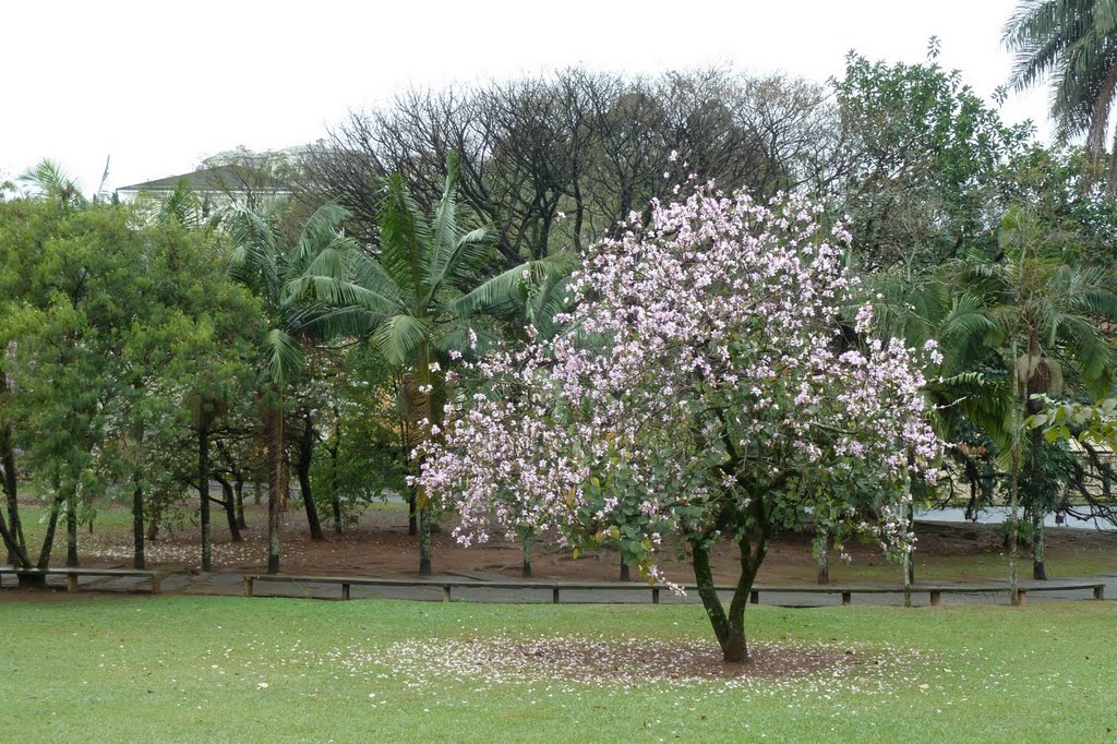 Praça Santos Coimbra by Casas no Morumbi