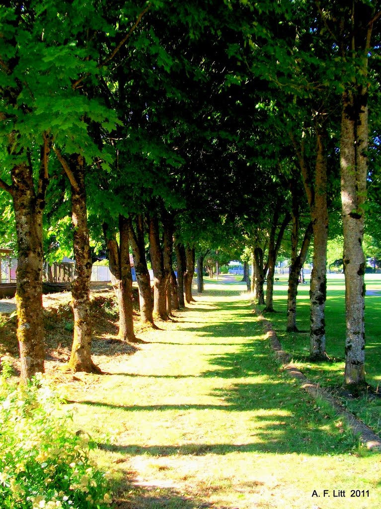 Red Sunset Park, Gresham, Oregon. August 4, 2011. by A. F. Litt