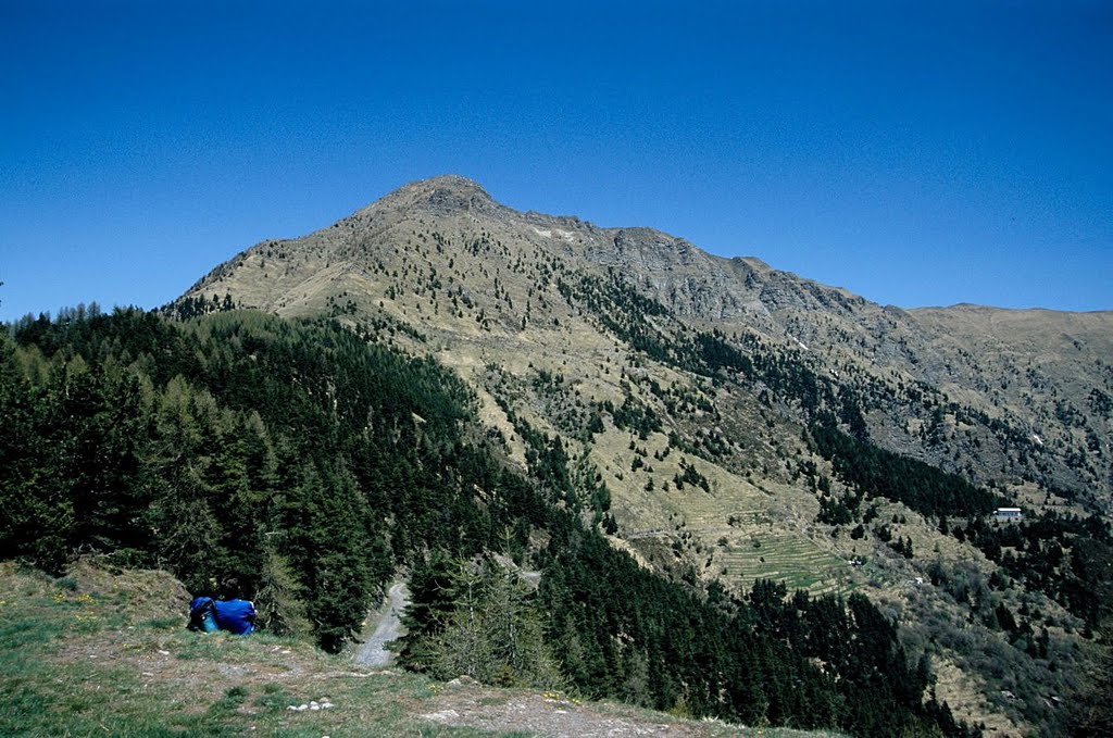 Il monte Saccarello visto dal passo di Colle Ardente (4 maggio 2003) by violapinnata