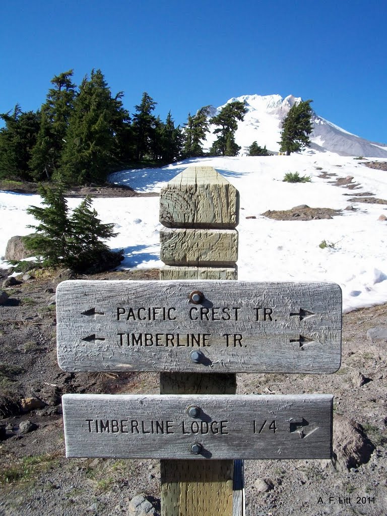 Timberline Trail, Mt. Hood, Oregon. July 28, 2011. by A. F. Litt