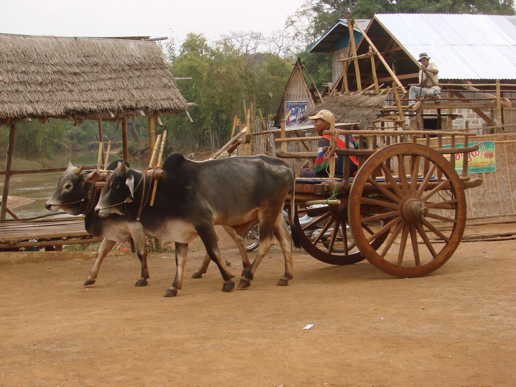 Indein, local lorry, Inle-See by picsonthemove