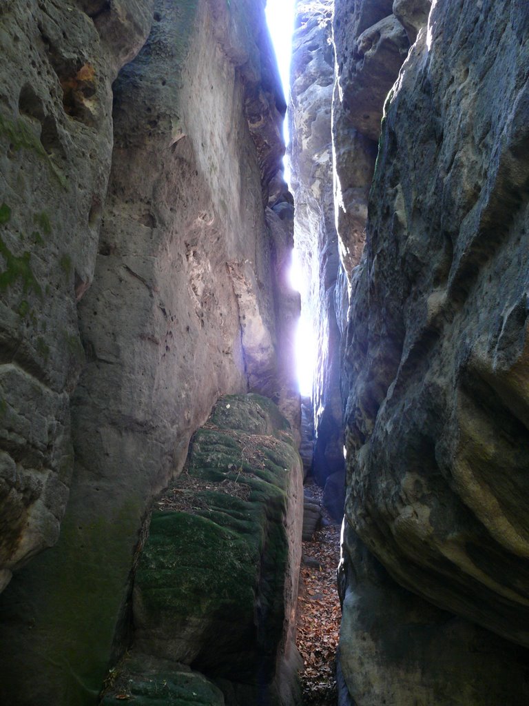 Elbsandsteingebirge - "Eindrücke" by Robert elch